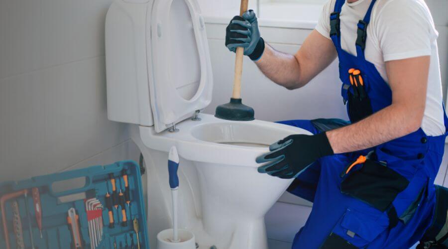 Professional clogged toilet repair in Naalehu, HI
